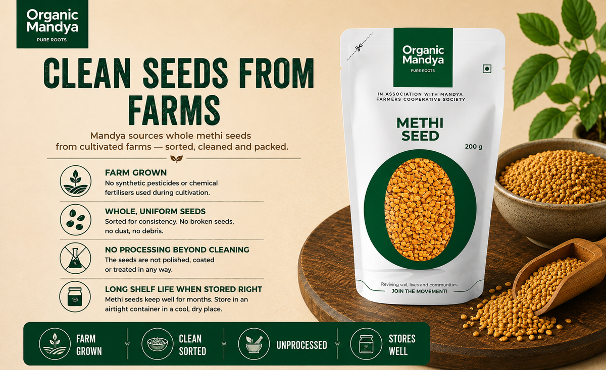 clean methi seeds fenugreek