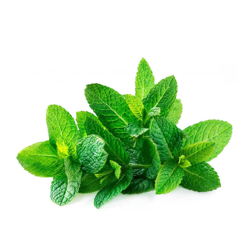 Organic Mint Leaves (Pudina)
