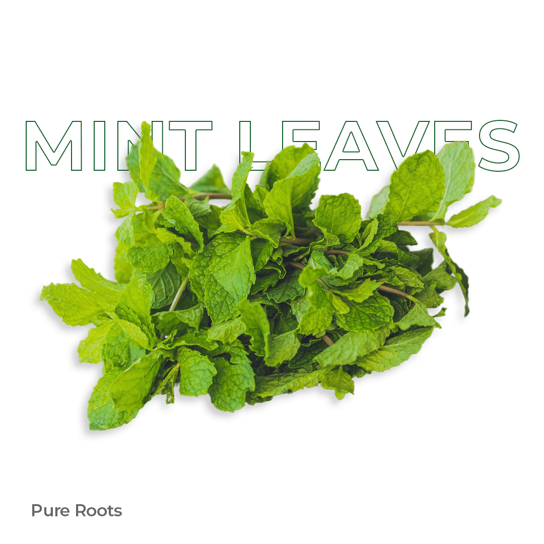 Organic Mint Leaves - Organic Mandya