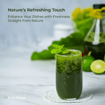 Organic Mint Leaves (Pudina)