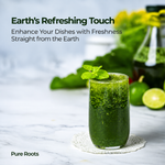 Mint Leaves (Pudina) Fresh
