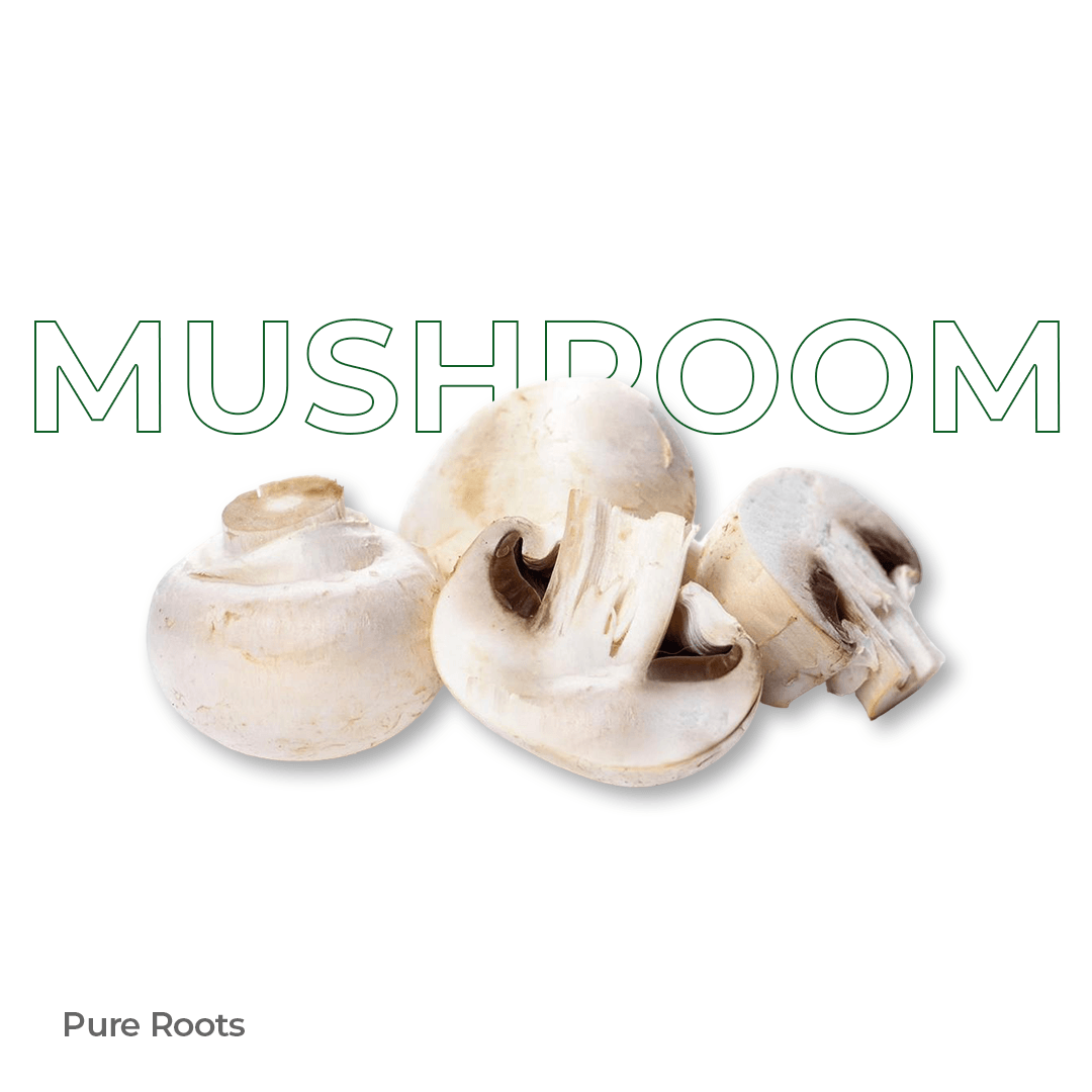 Organic Mushroom - Organic Mandya