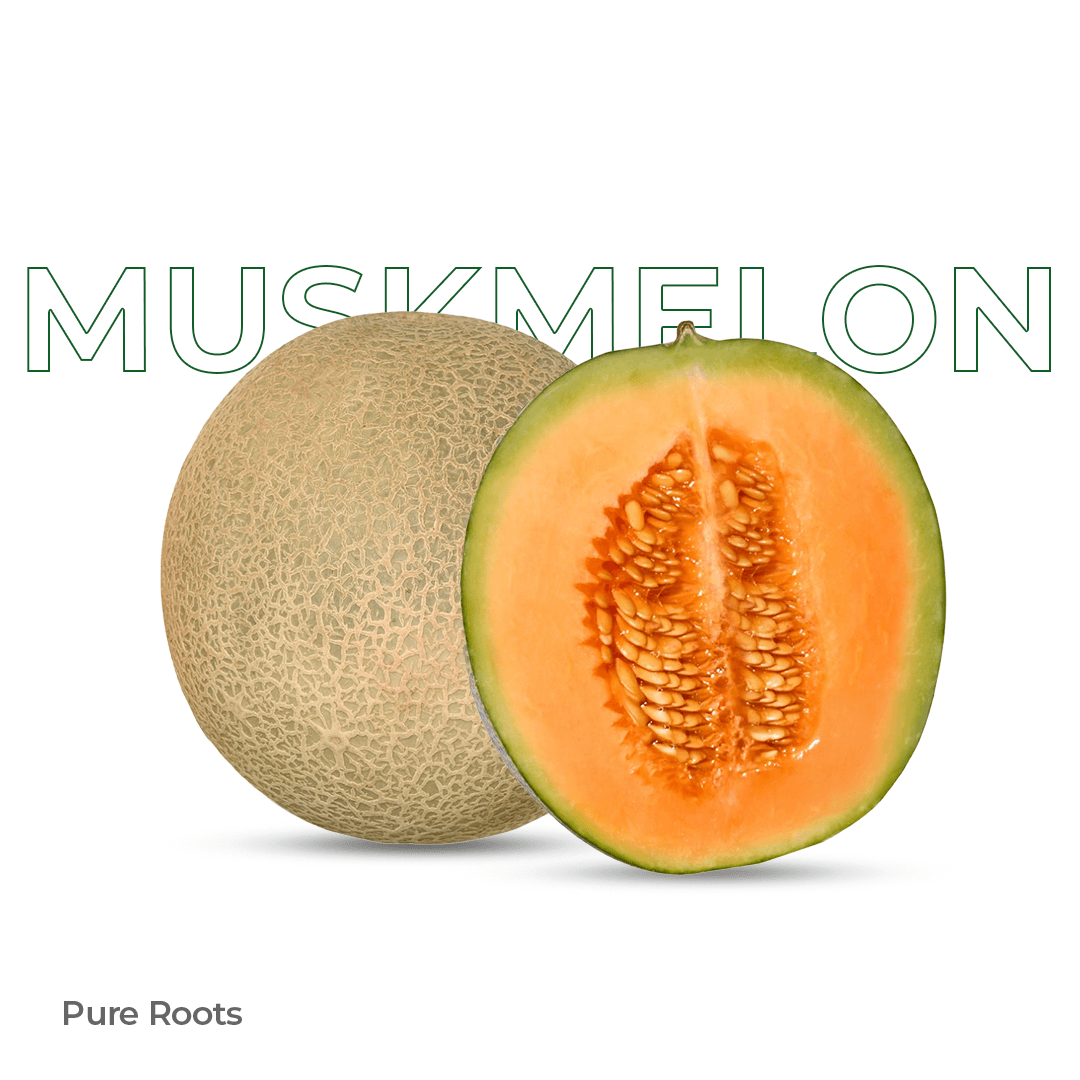 Organic Muskmelon - Organic Mandya