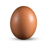 Organic Brown Eggs (Bengaluru) – Fresh Free-Range Protein Eggs