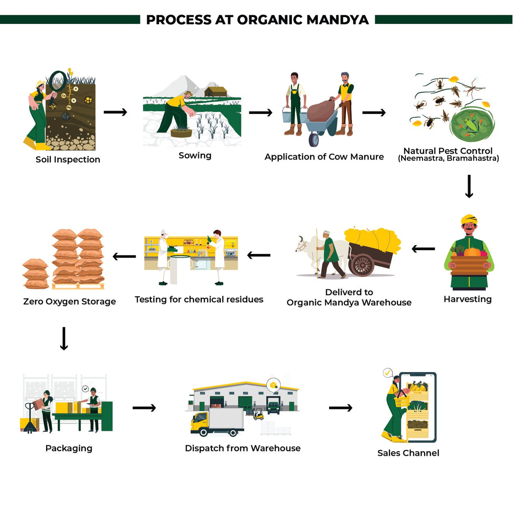 Organic Groundnut Chutney Powder (200g)