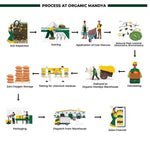 Organic Wheat Whole