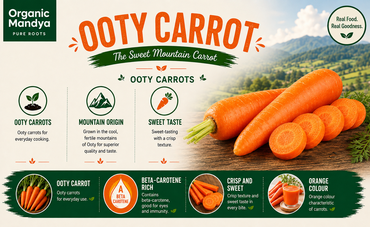 Ooty carrots on farm