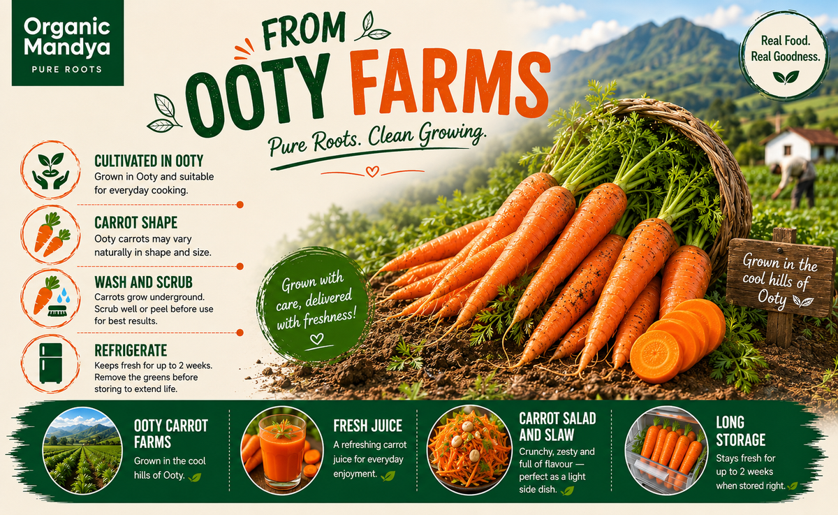 Fresh orange carrots