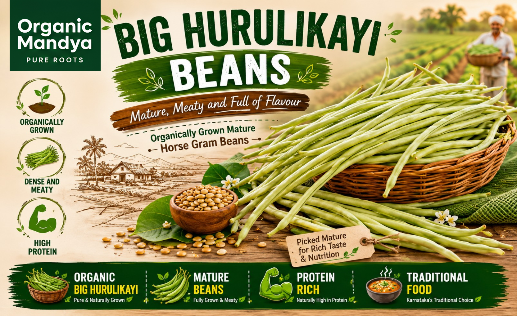 healthy-grown-big-hurulikayi