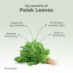 Organic Palak Leaves (Spinach / Palakura) – Fresh, Chemical-Free Green Superfood