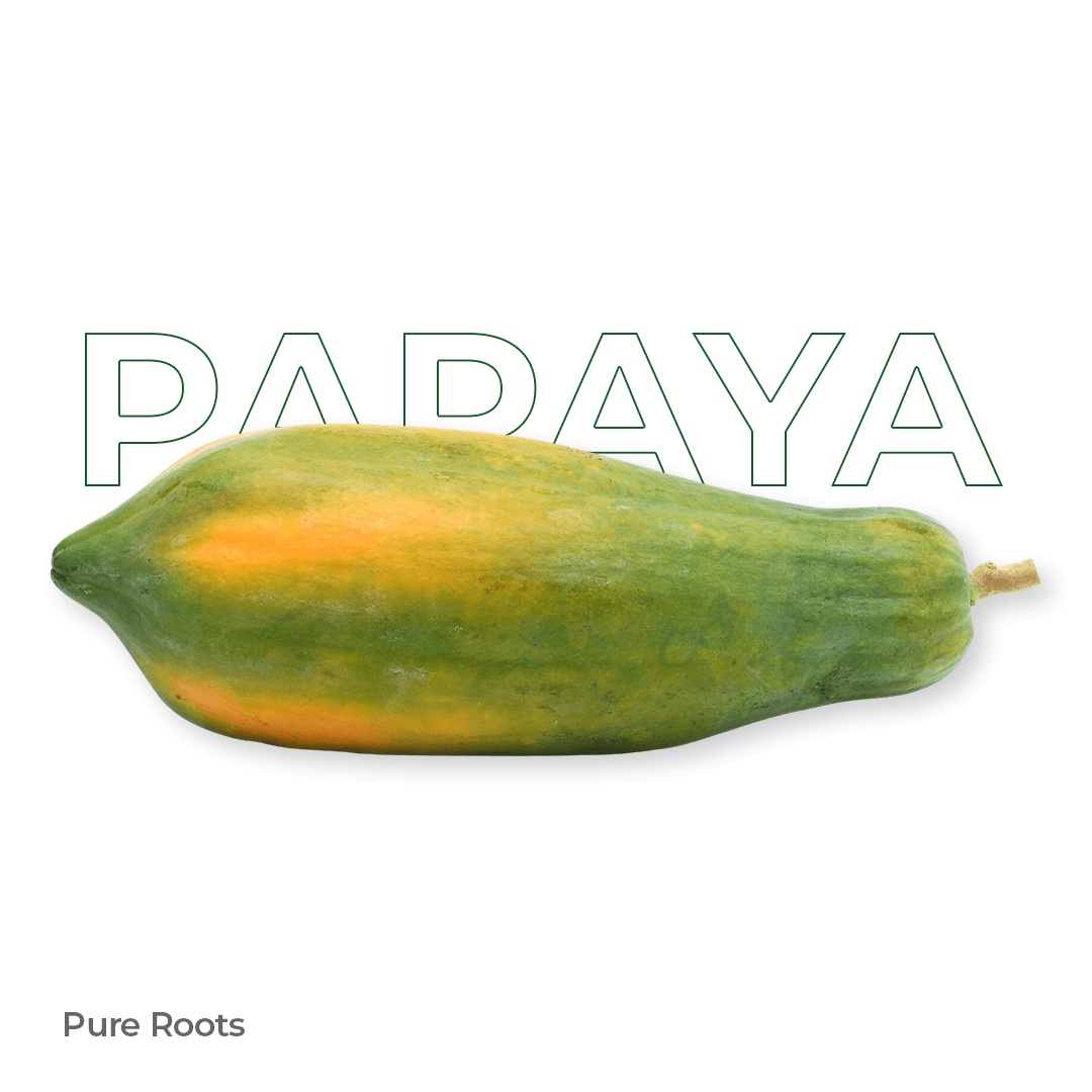 Organic Papaya (Semi Ripe) - Organic Mandya
