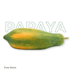 Organic Papaya (Semi Ripe)