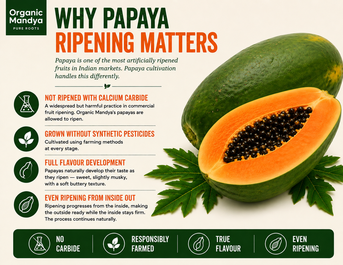 grown papaya