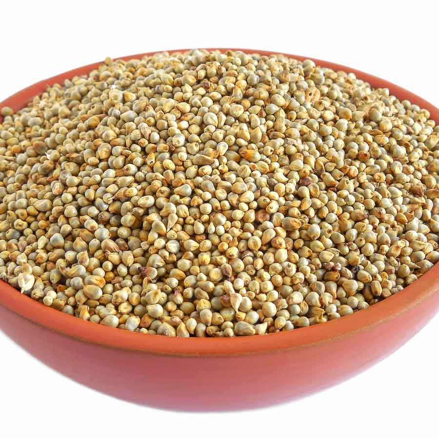 Organic Pearl Millet (Sajje)