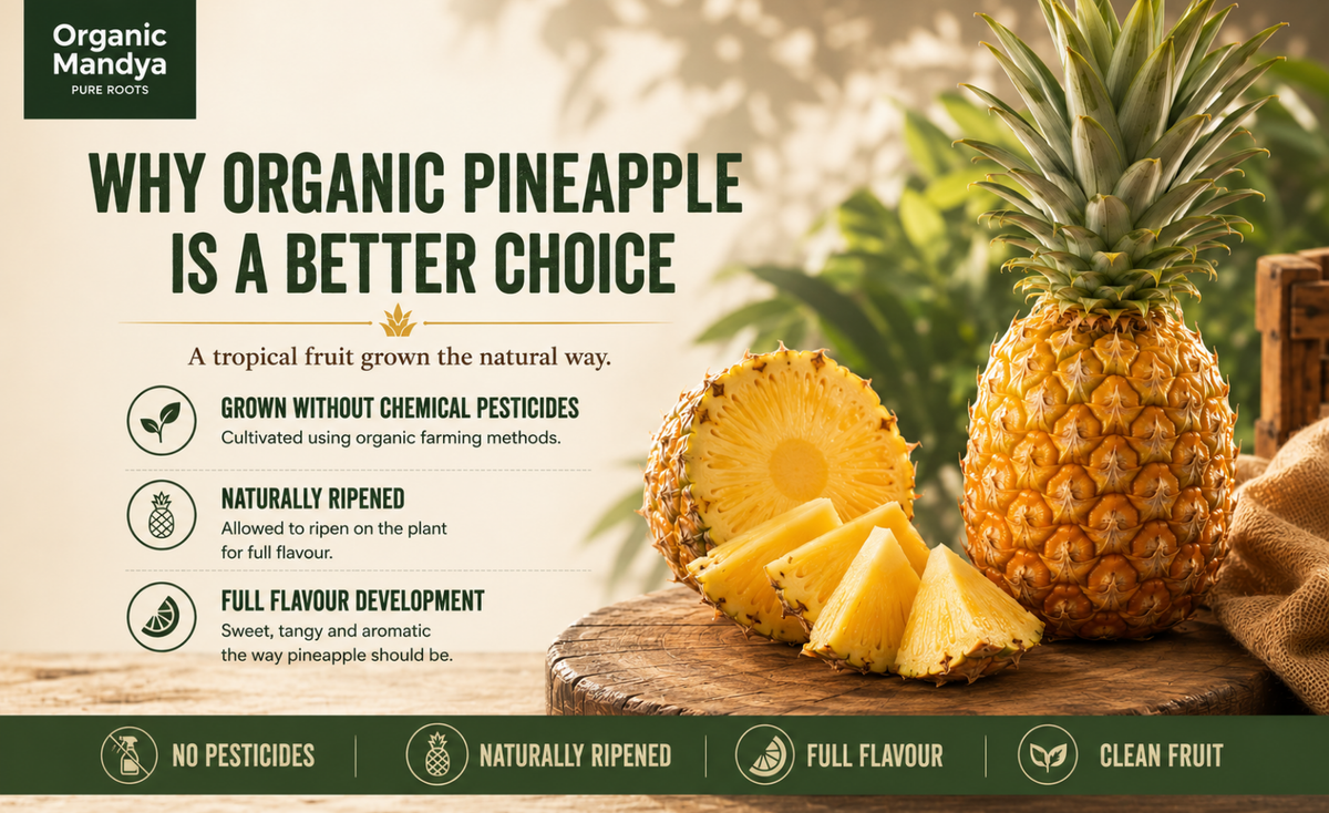 benefits of pineapple plant Organic Pineapple Fresh – Buy Farm Direct Online