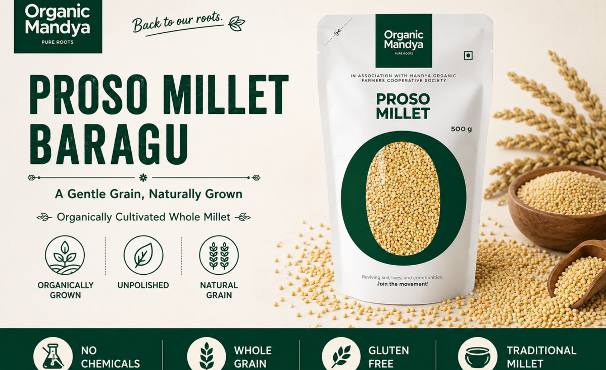 Proso Millet (Baragu) Unpolished | Organic Mandya