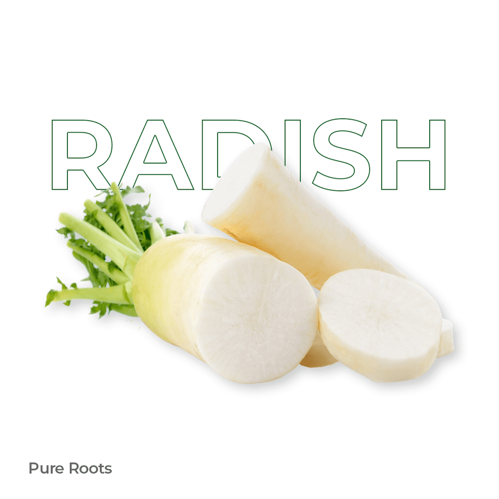Gulong Raddish Radish | Mulangi: Health Benefits and Culinary Uses