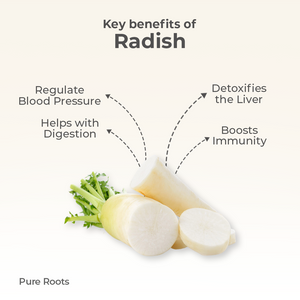 Organic Radish Organic Mandya