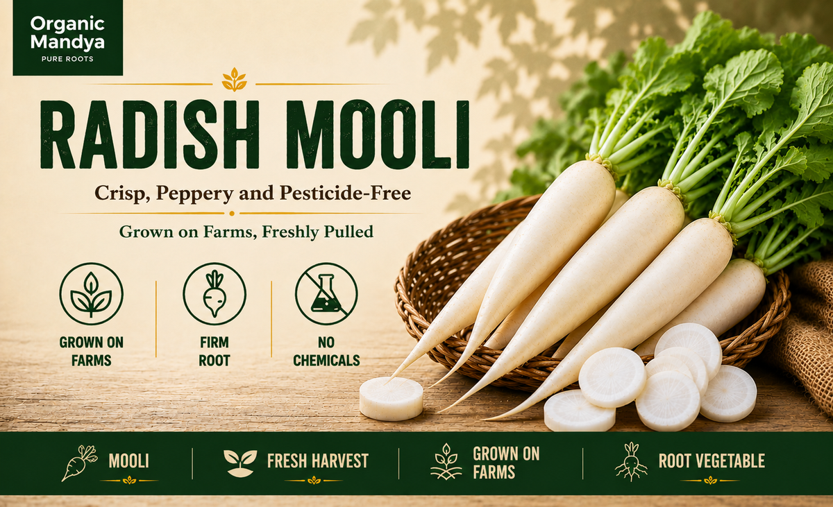 grown radish mooli