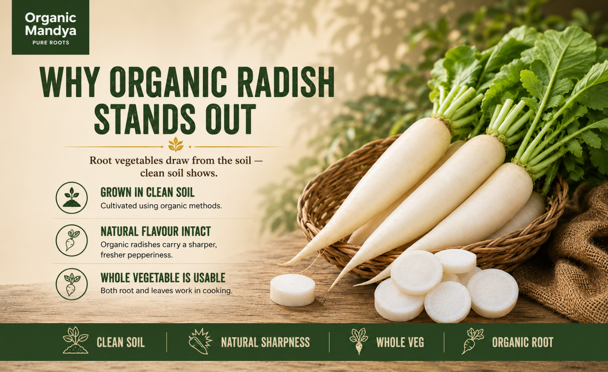organic - radish - mooli
