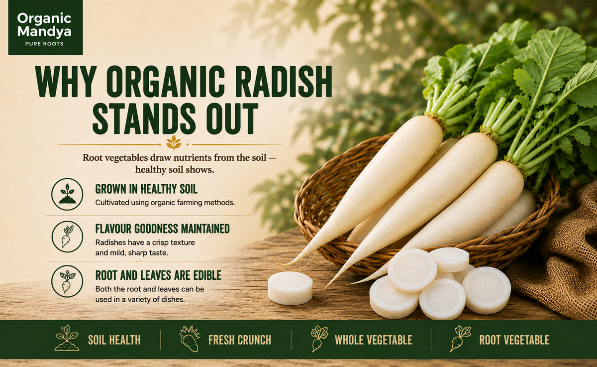 radish mooli