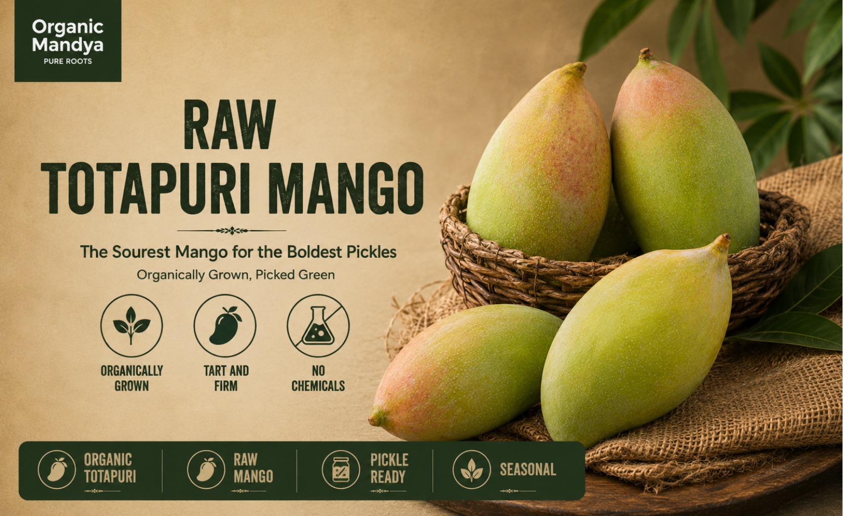 organic - raw - totapuri - mango
