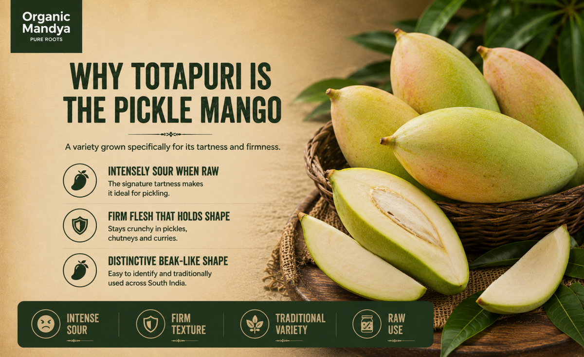 traditonal - raw - totapuri - mango