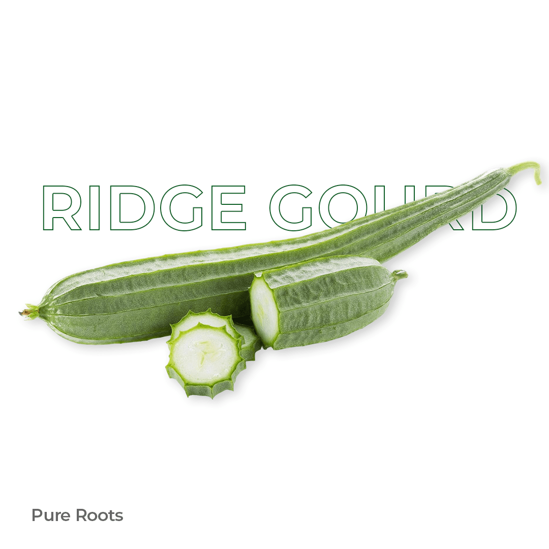 Organic Ridge Gourd - Organic Mandya