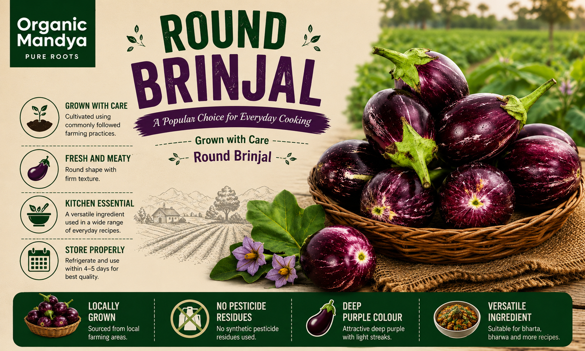 round brinjal