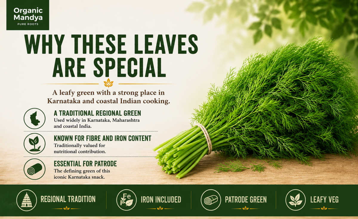 regional - Sabbaki - Leaves