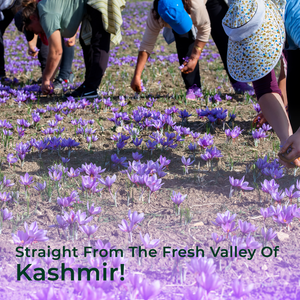 Kashmiri saffron source