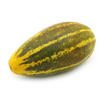 Organic Sambar Cucumber