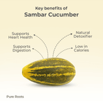 Organic Sambar Cucumber