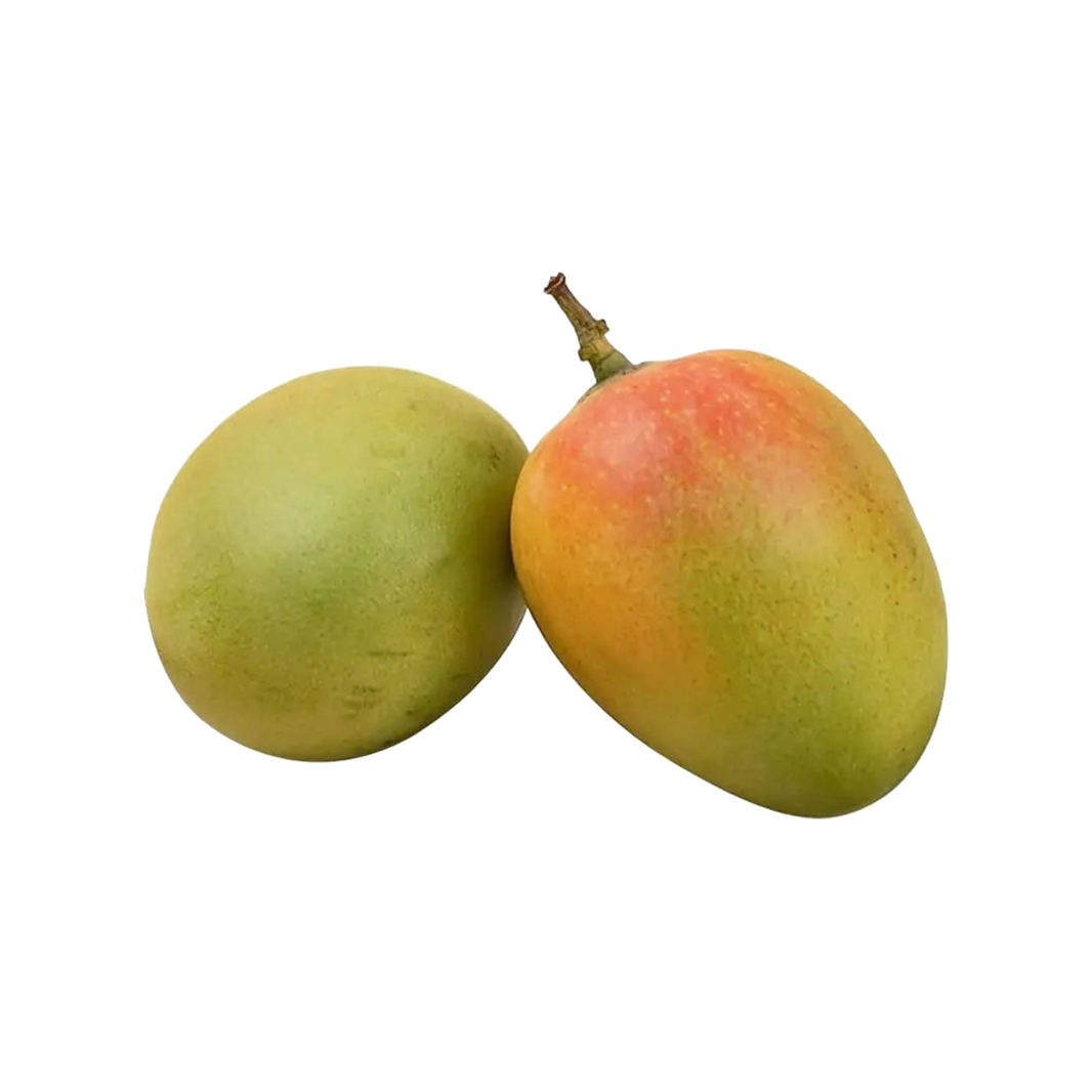 Organic Mango Sindhura Raw (Semi-ripe & mildly sweet)
