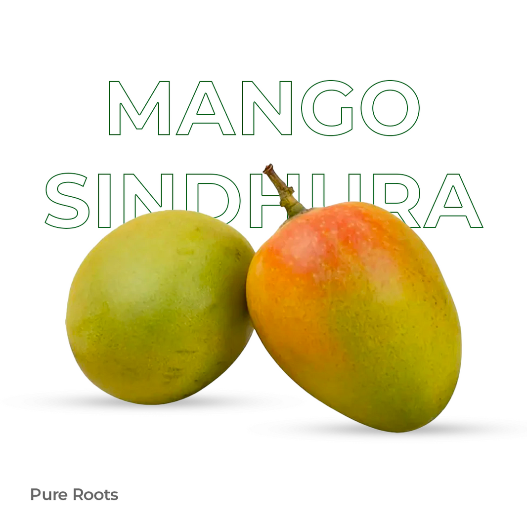 Organic Mango Sindhura Raw (Semi-ripe & mildly sweet)