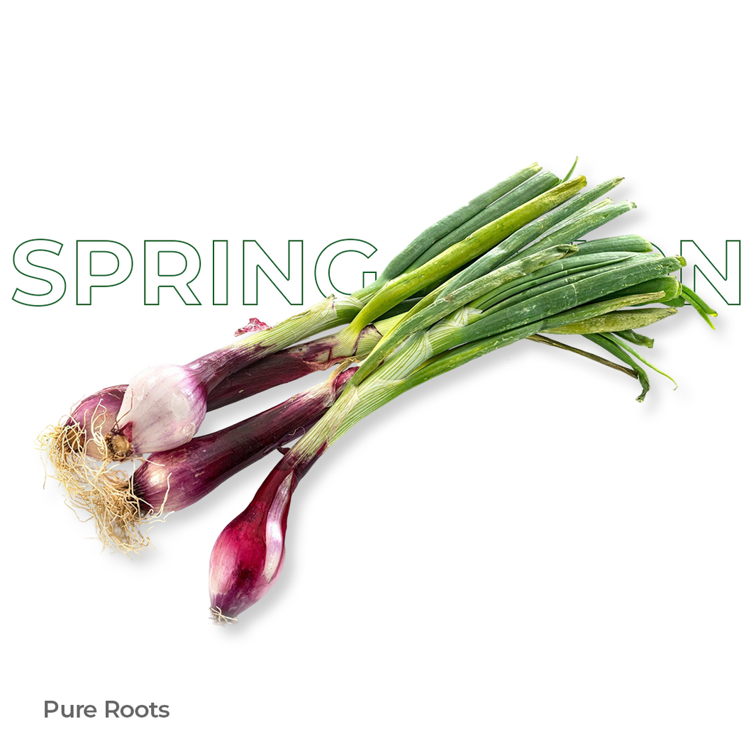 Organic Spring Onion Organic Mandya