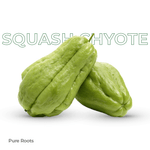 Organic Squash Chyote (Chow Chow)