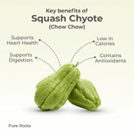 Organic Squash Chyote (Chow Chow)