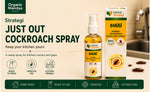 Strategi Just Out Cockroach Spray