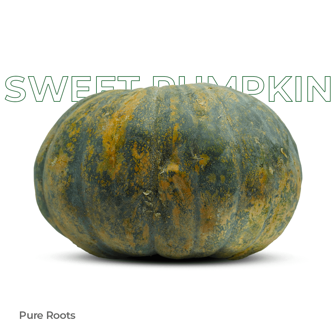 Organic Sweet Pumpkin - Organic Mandya