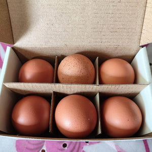 Eggs - Brown Only For (Bengaluru)