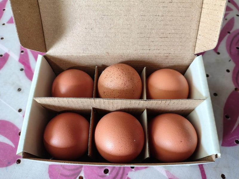 Organic Brown Eggs (Bengaluru) – Fresh Free-Range Protein Eggs
