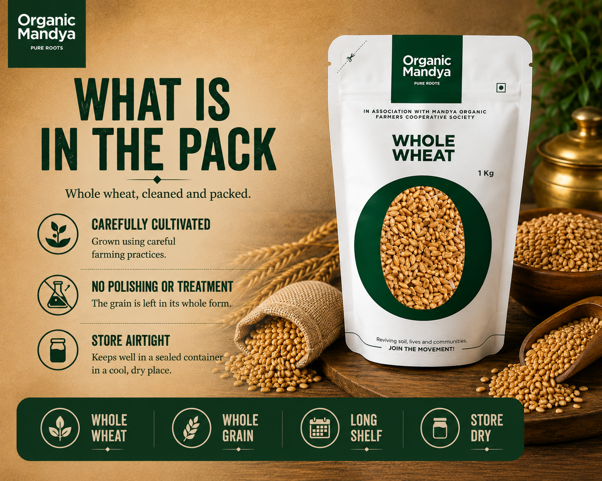 Organic Mandya whole wheat cleaned and packed in a 1 kg pack