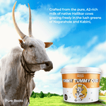 Yummy Tummy Curd – A2 Desi Cow No-Spill Set Curd