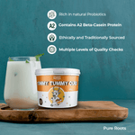 Yummy Tummy Curd – A2 Desi Cow No-Spill Set Curd