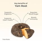 Organic Yam Root