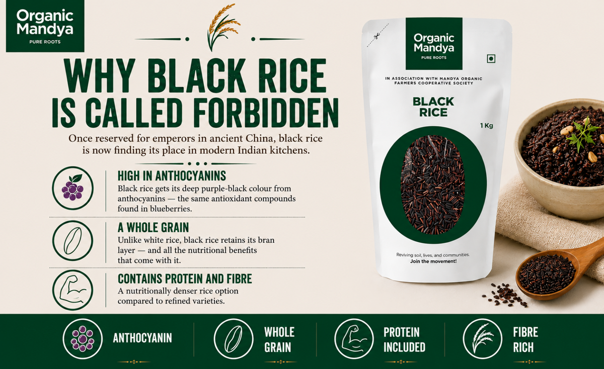 Black rice benefits infographic by Organic Mandya.