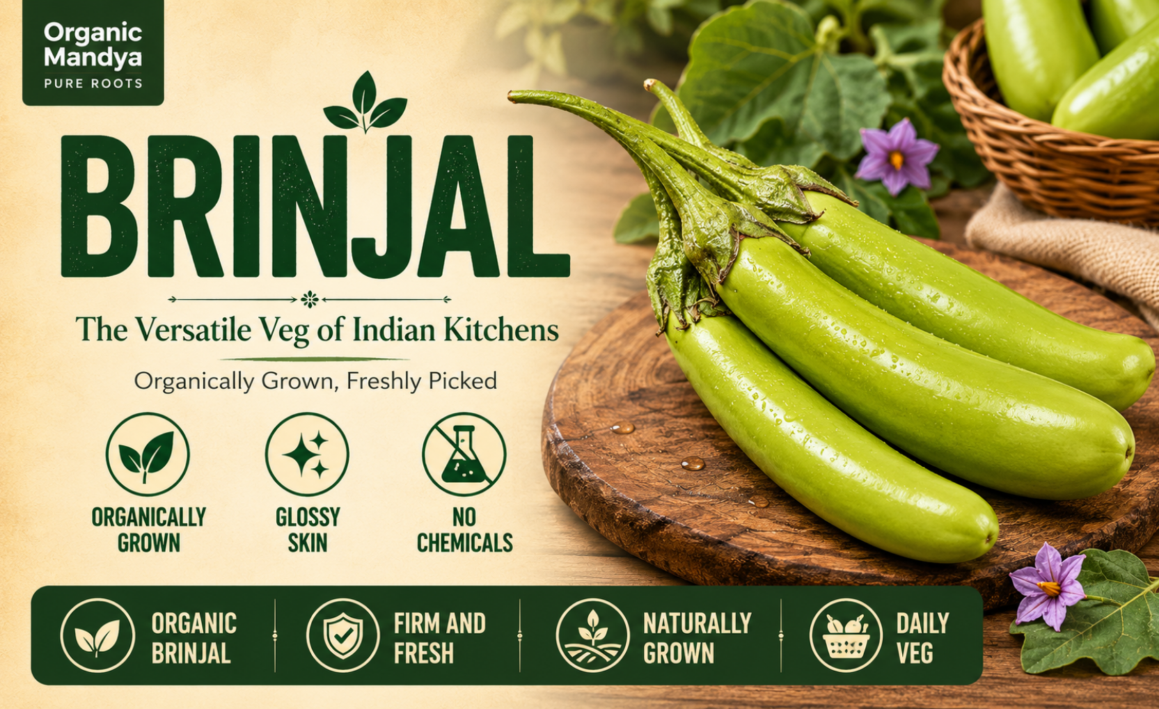 organic - brinjal