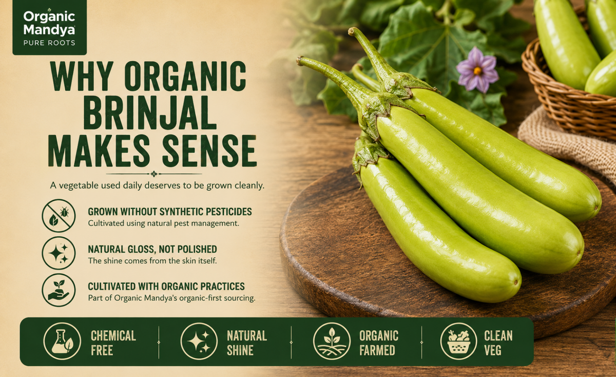 natural - brinjal
