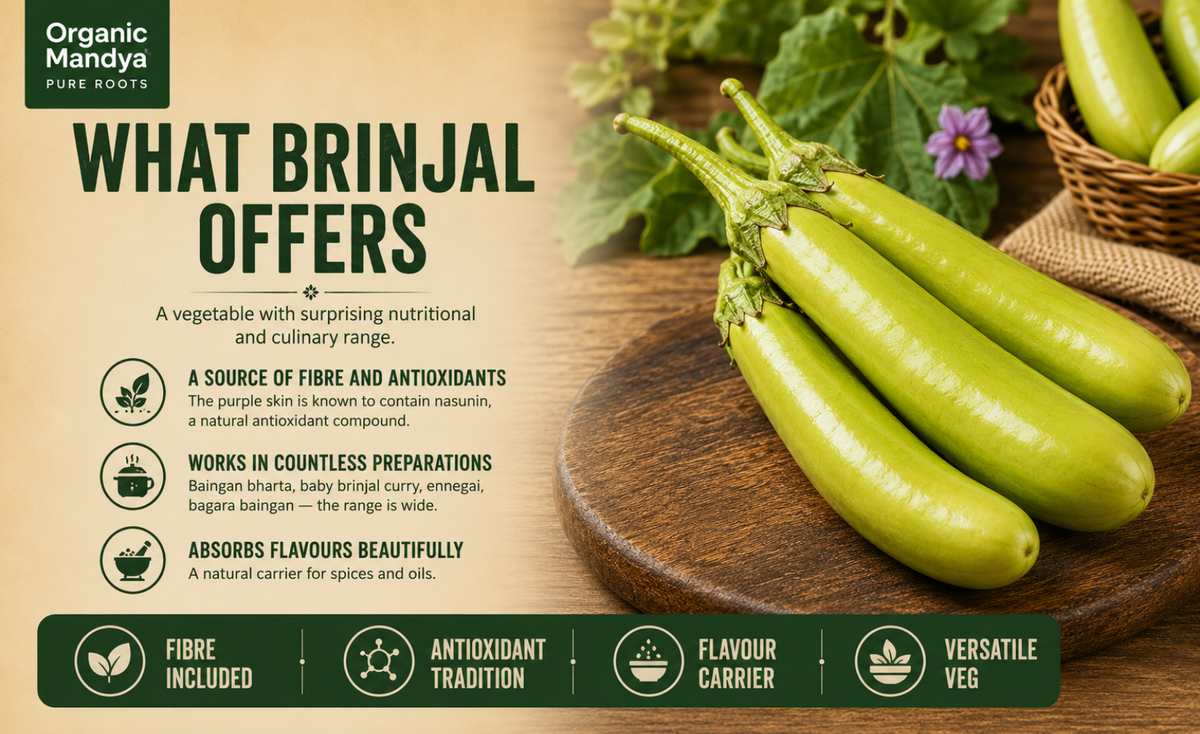 versatile - brinjal